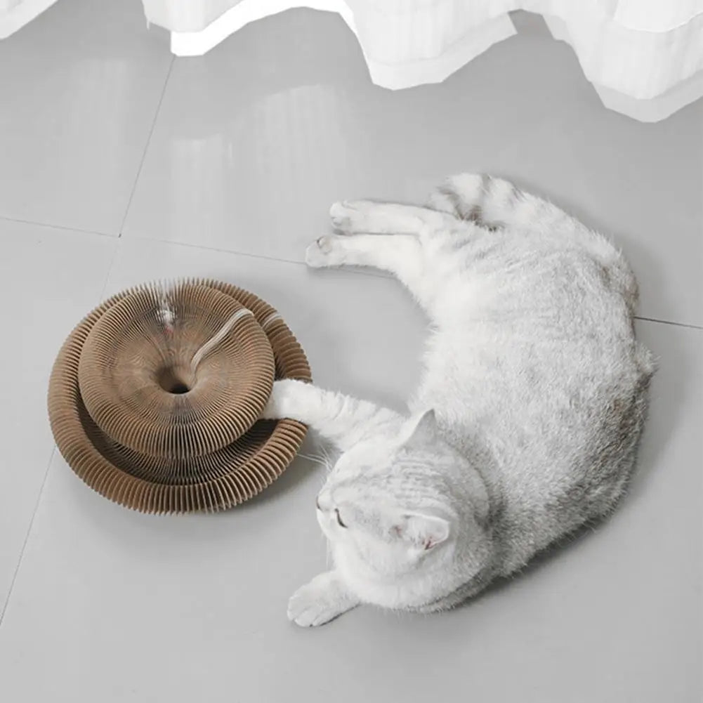 Flexmiau™ – Brinquedo Sanfona Interativo para Gatos com Bola – Arranhador Dobrável em Papelão Estilo Colmeia