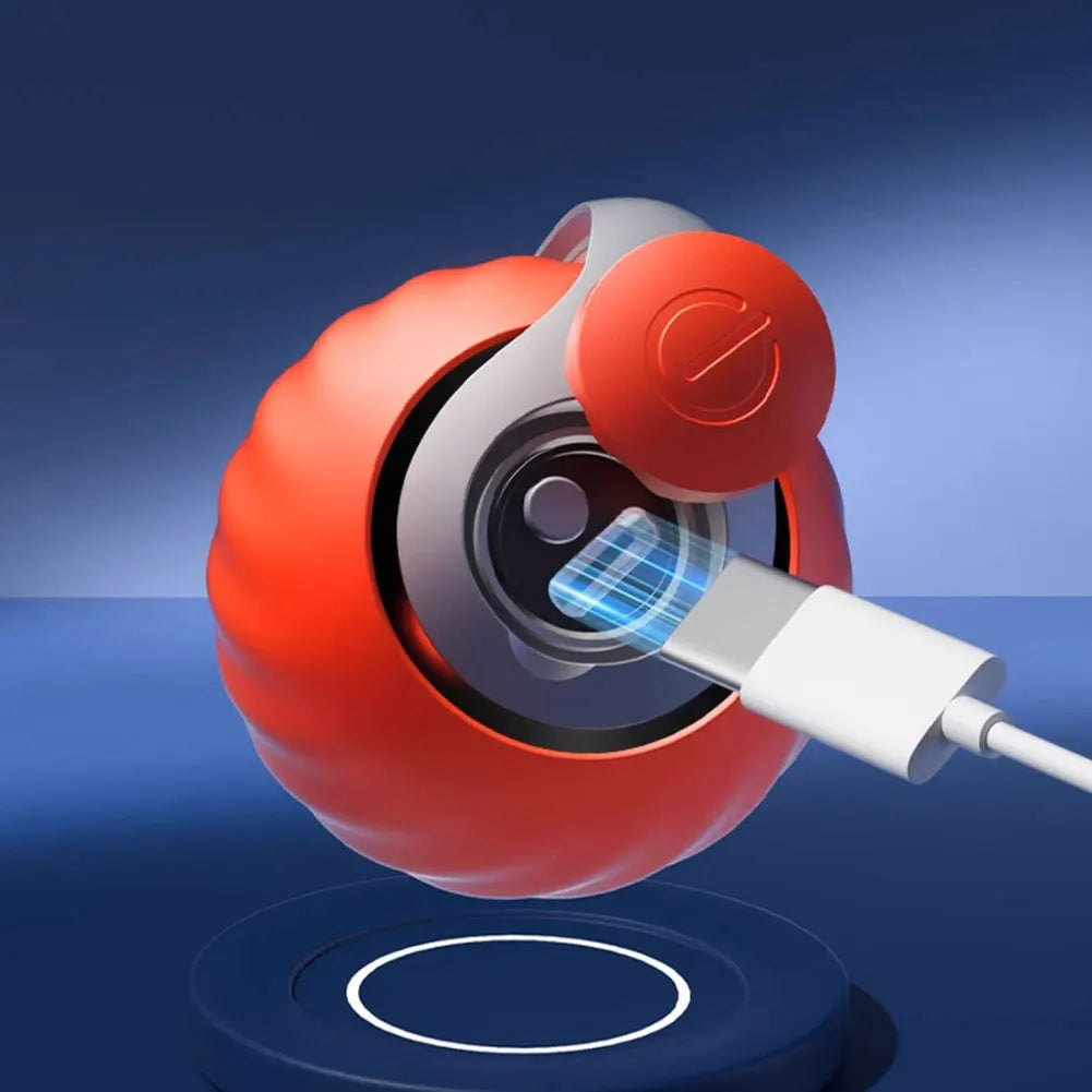 CatMotion™ – Bola Interativa Automática com Cauda Substituível