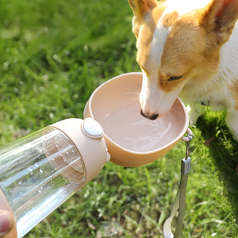 Garrafa Portátil para Água e Ração de Cães e Gatos