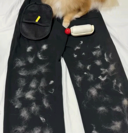 Luva Anti Pelos MAGIC BRUSH™ – Compre 1, Leve 2