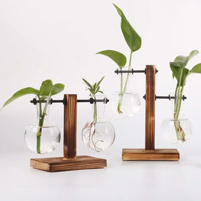 Vaso de Vidro para Plantas Hidropônicas