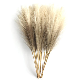 Kit com 6 Ramos de Capim-dos-Pampas Artificial