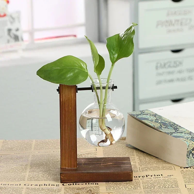 Vaso de Vidro para Plantas Hidropônicas