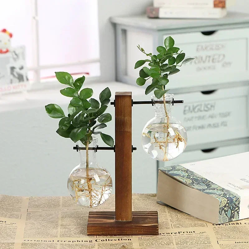 Vaso de Vidro para Plantas Hidropônicas