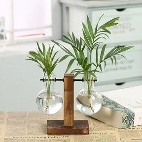 Vaso de Vidro para Plantas Hidropônicas